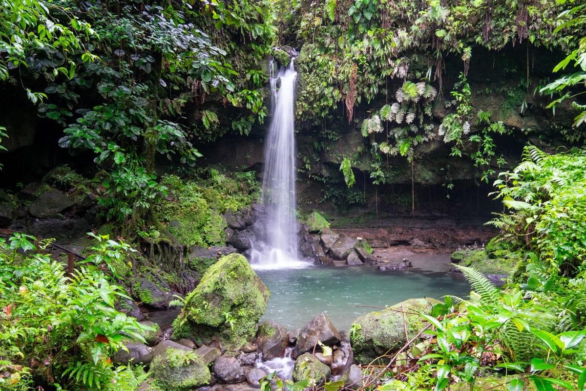 Lush blue-green swimming hole (Emerald Pool) on the island of Dominica, Caribbean.