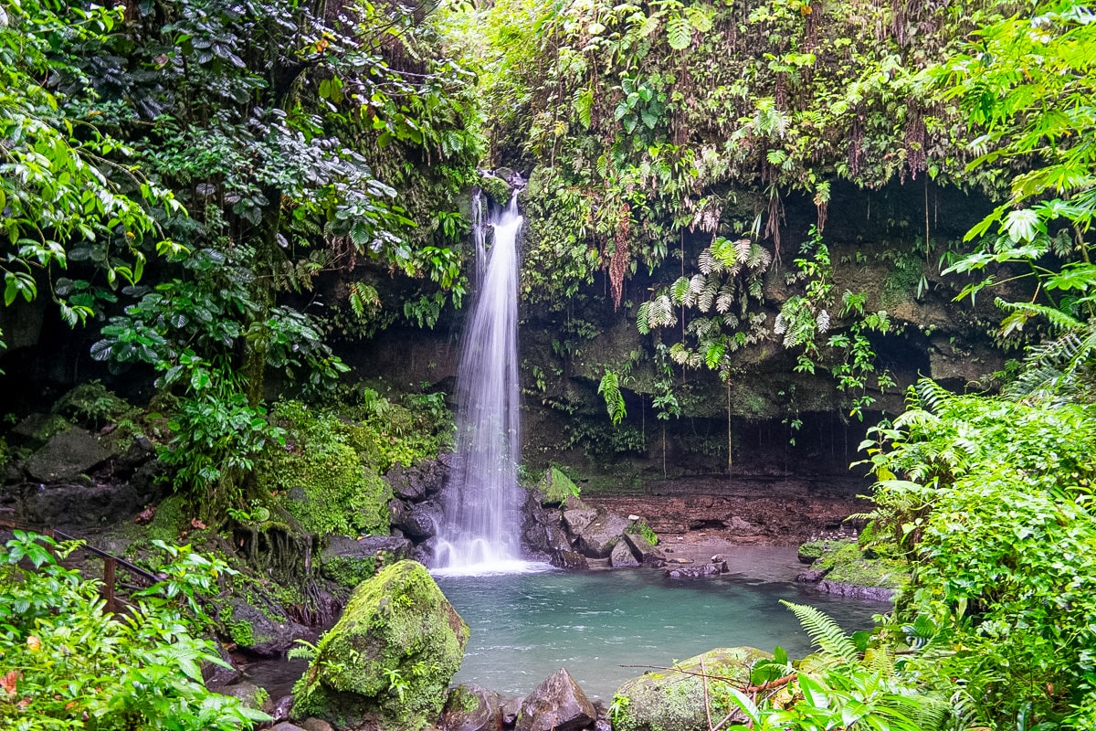 View of Emerald Pool falls in Dominica surrounded by lush greenery and bluish green pool