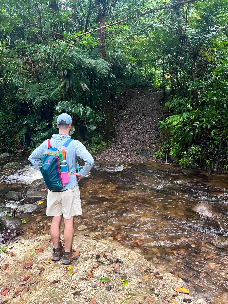 Man about to cross a river on the hiking trail to Middleham Falls in Dominica