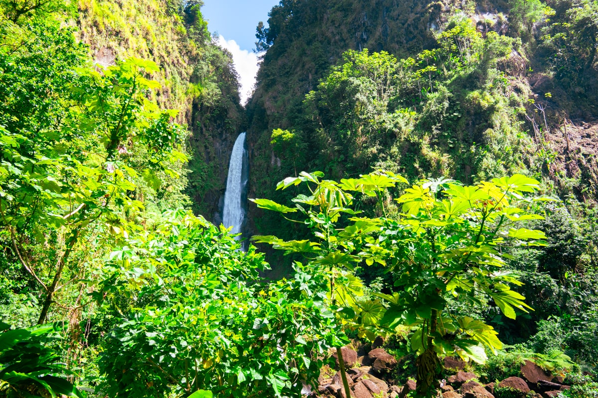 Beautiful "Father Falls—one of the twin falls at Trafalgar Falls, Dominica, framed by lush green flora.