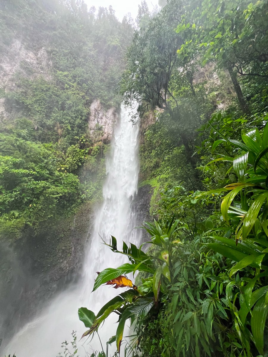 View of Middleham falls surrounded by lush green plants and overspray from the falls