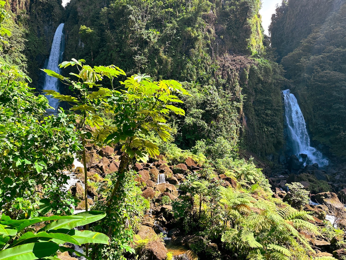 The twin waterfalls of Trafalgar Falls in Dominica, Caribbean.