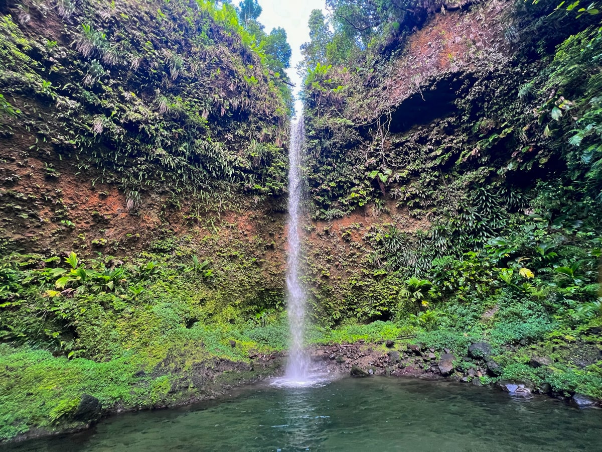 Looking at Spanny Falls waterfall from viewing platform cascading into a blue swimming hole surrounded by greenery