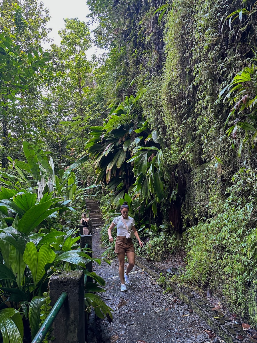 Two women walking along a pathed pathway surrounded by green cliffs towards a waterfall in dominica
