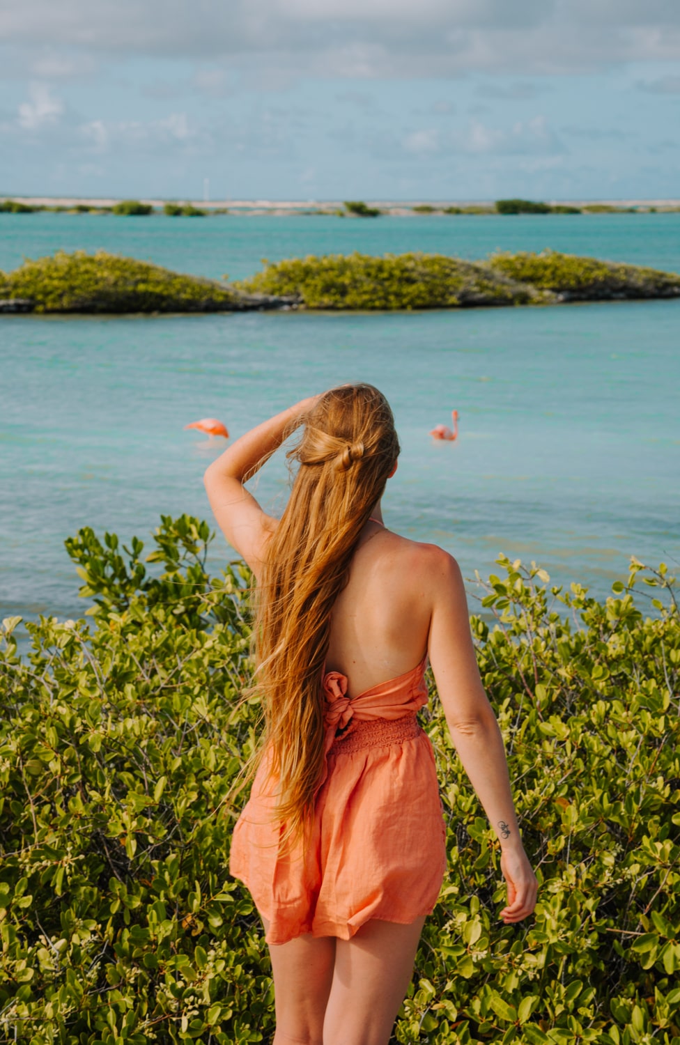 Blonde travel woman overlooking wild flamingos in nature reserve on Bonaire Island, Caribbean.