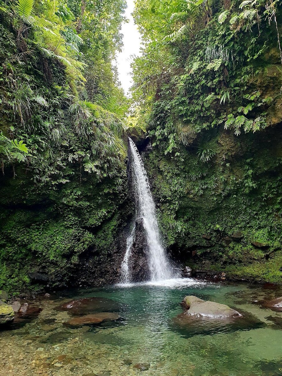 Jacko Falls cascading into a blue shallow swimming hole surrounded by green rainforest