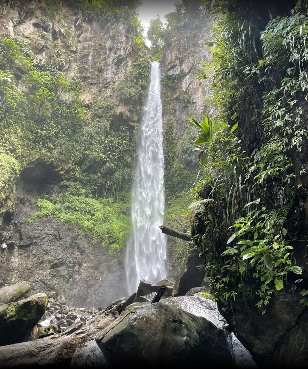 View of Sari Sari Falls from the river with lots of river rocks and surrounded by green rainforest