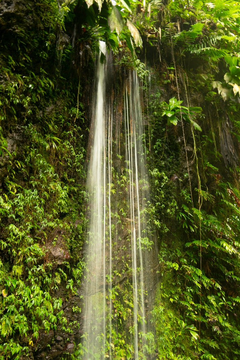 a smaller waterfall along the trail to Salton Waterfalls in Dominica