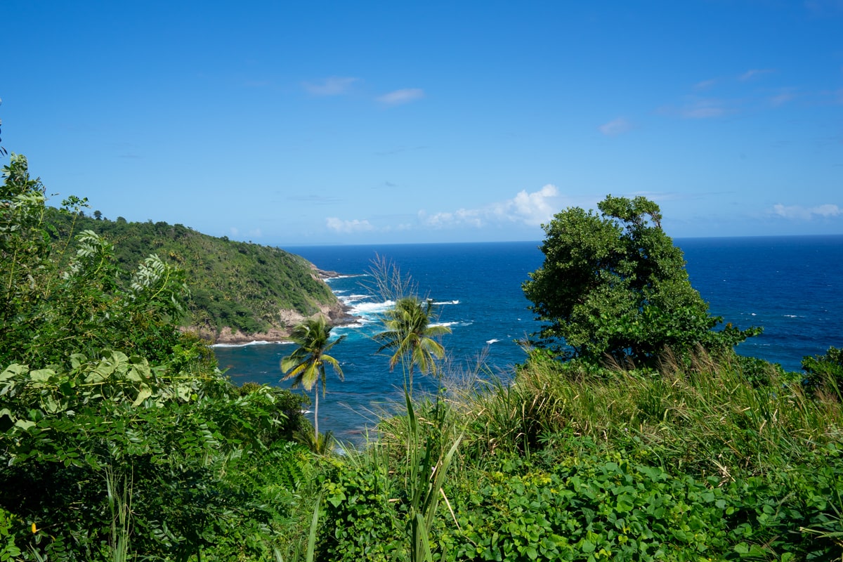 Coast of Dominica overlooking the ocean