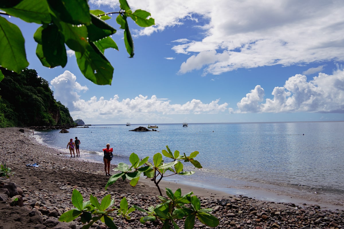 people swimming and snorkeling along champagne beach in Dominica