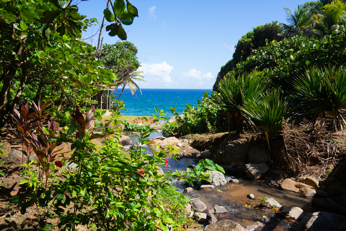 view of Atlantic Ocean from Carib Territory 