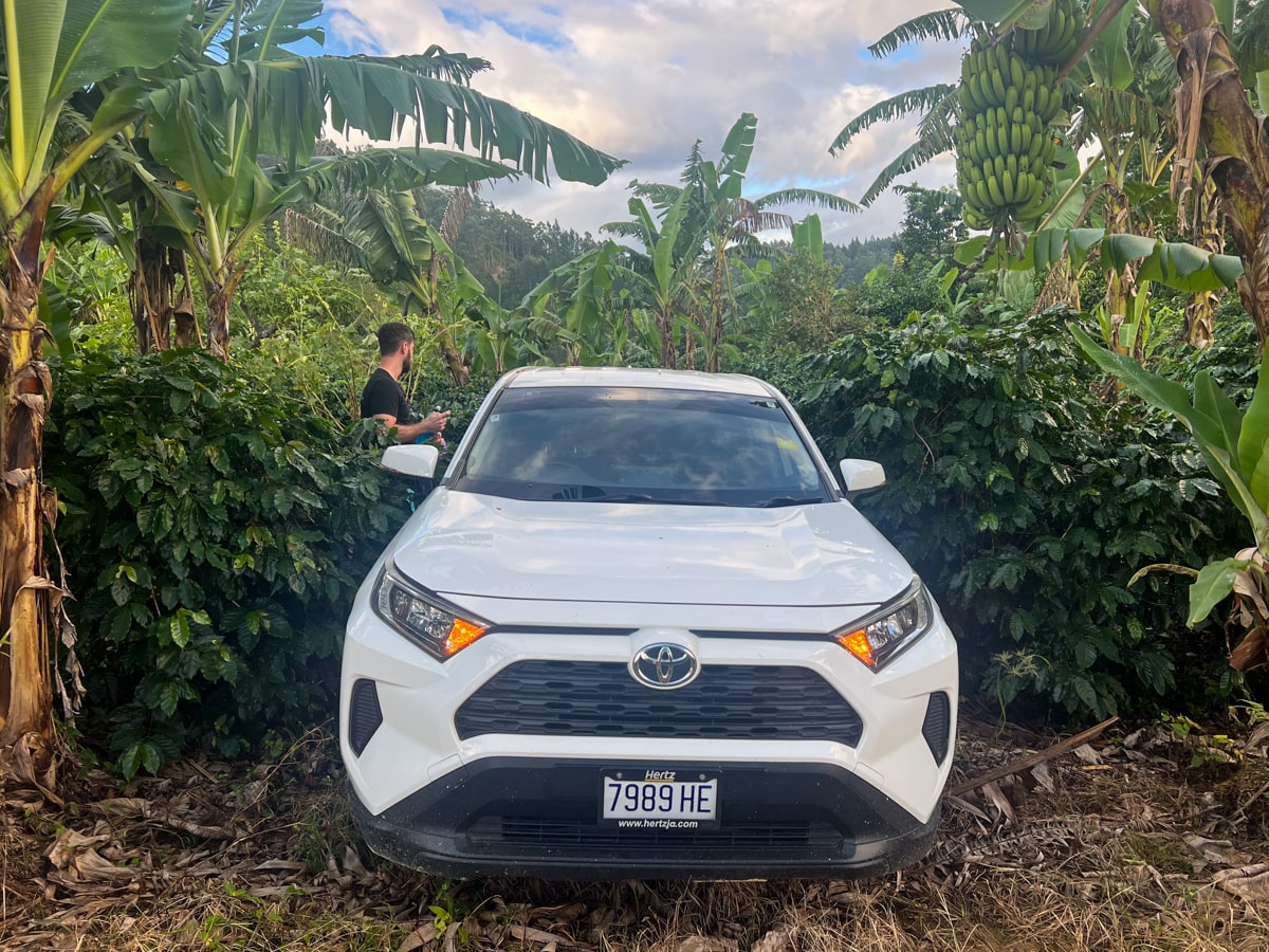 Toyota RAV4 parked in a clearing between trees due to being unable to drive up the rutted road