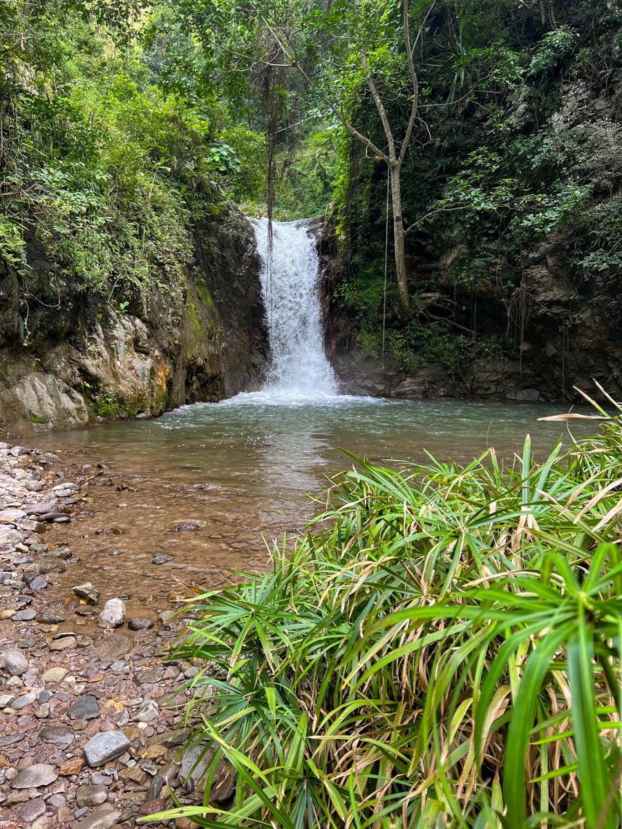 view of a waterfall splashing into a pool with green foliage in the blue mountains as a unique thing to do in jamaica