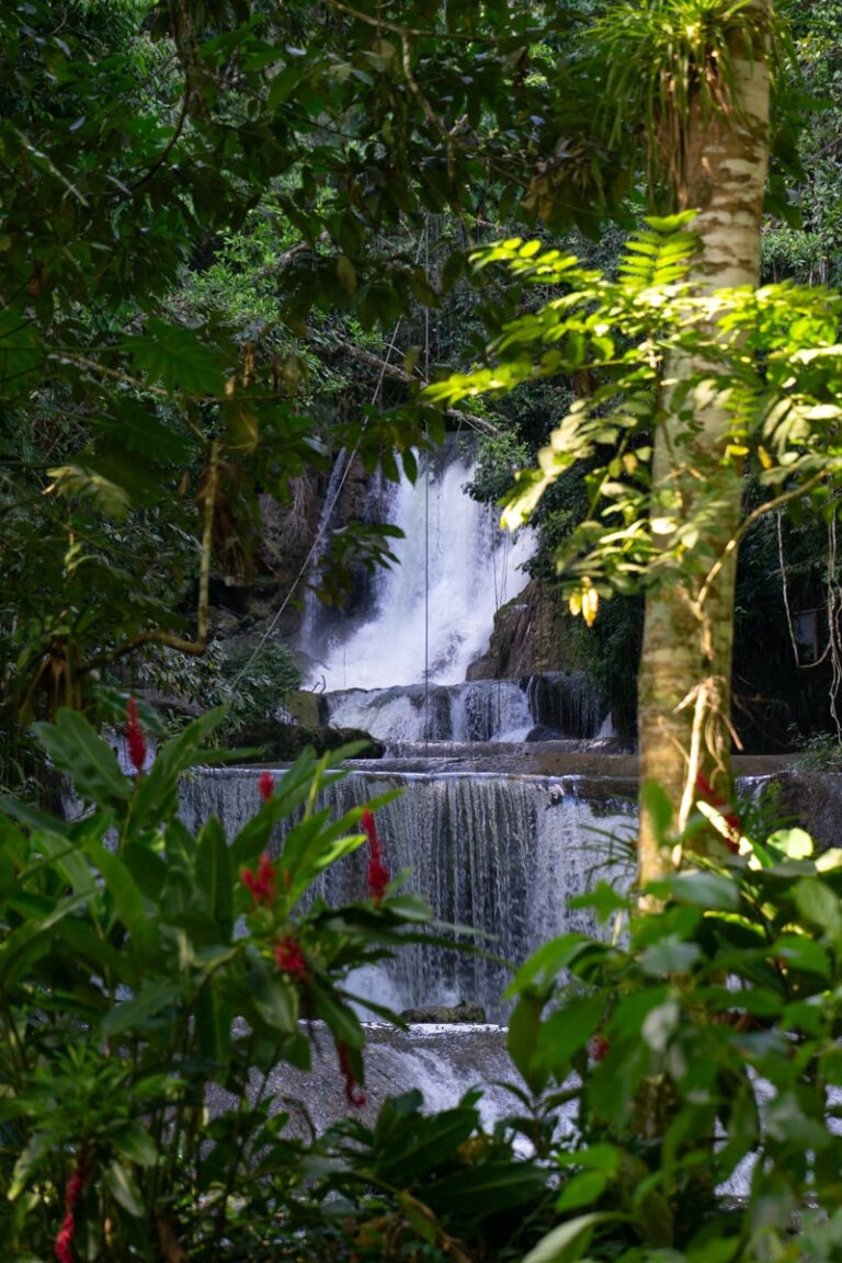 view of YS falls through flowers and green foliage
