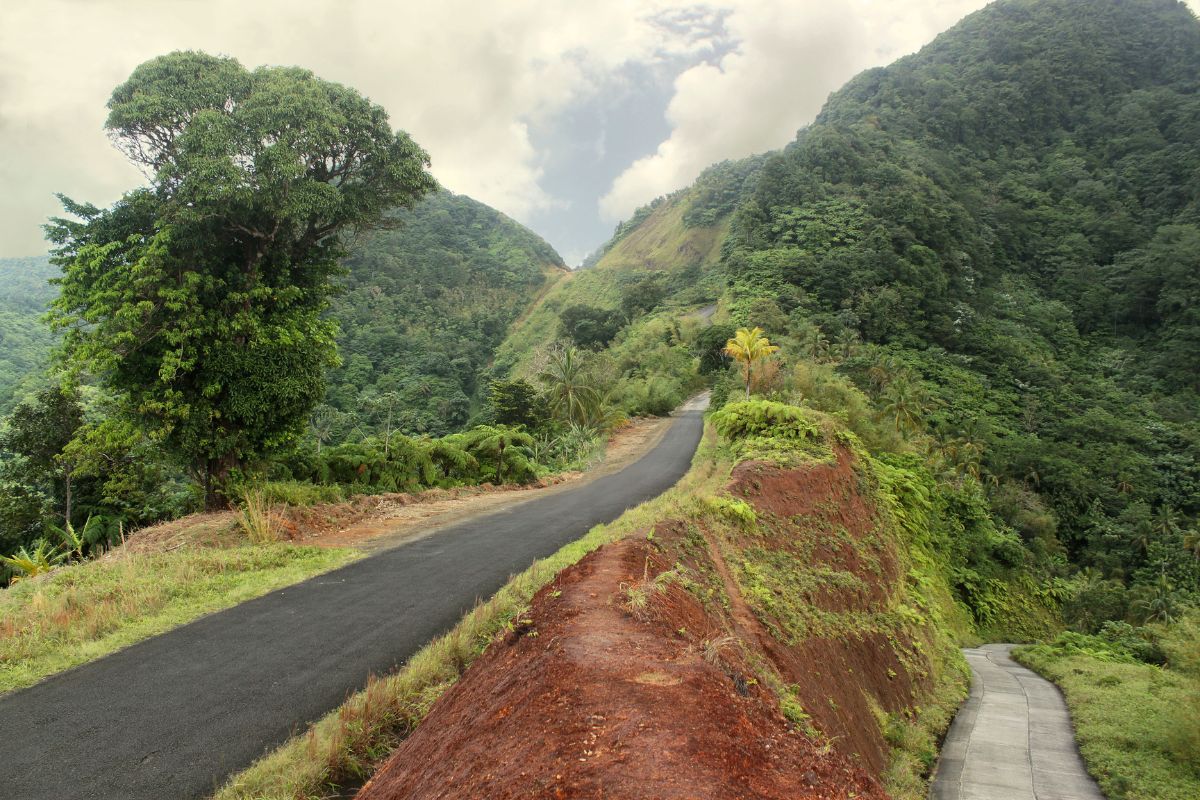 a paved road in Dominica heading towards the mountains and rainforest 