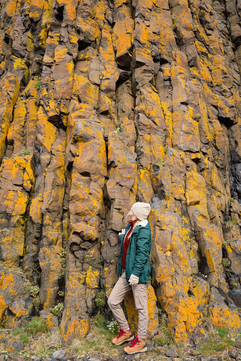 woman dressed warm for iceland with a fleece sweater and waterproof jacket with gloves and a beanie looking up at yellow moss covered basalt columns