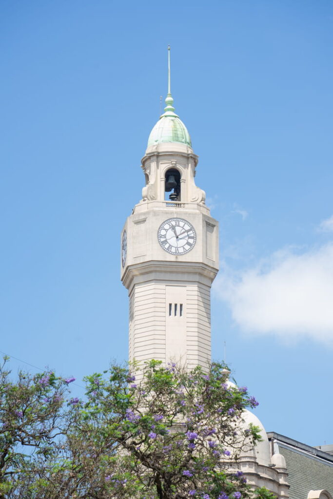 clock tower with European style architecture in front of purple flowering tree in downtown Buenos Aires Argentina  