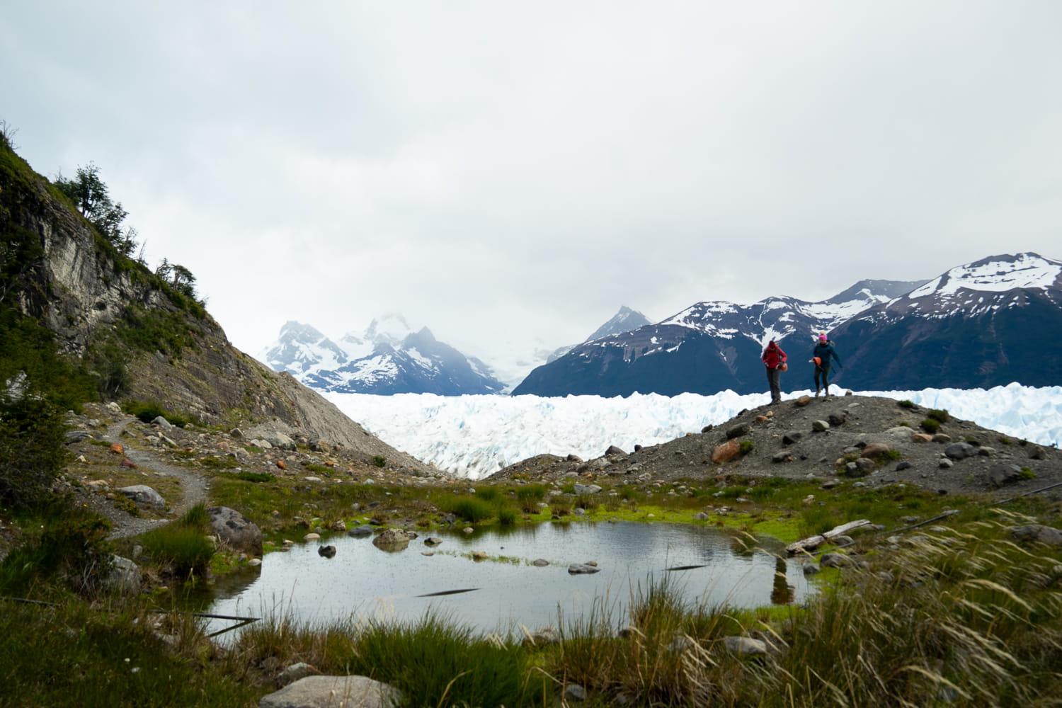 People admiring the view of Perito Moreno glacier with greenery and a small pond